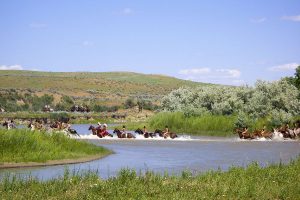 Reenactment of the Battle of the Little Bighorn